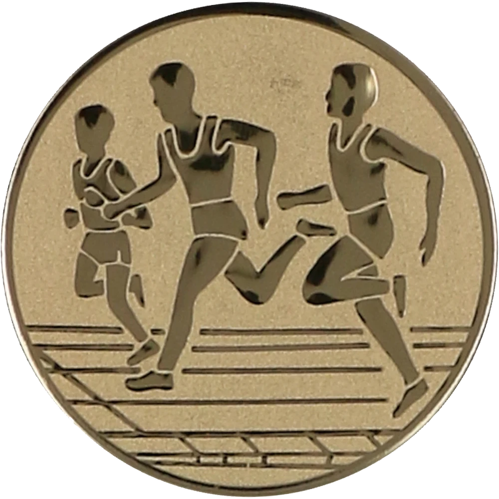 Wklejka aluminiowa złota - biegi (D1-A32/G)