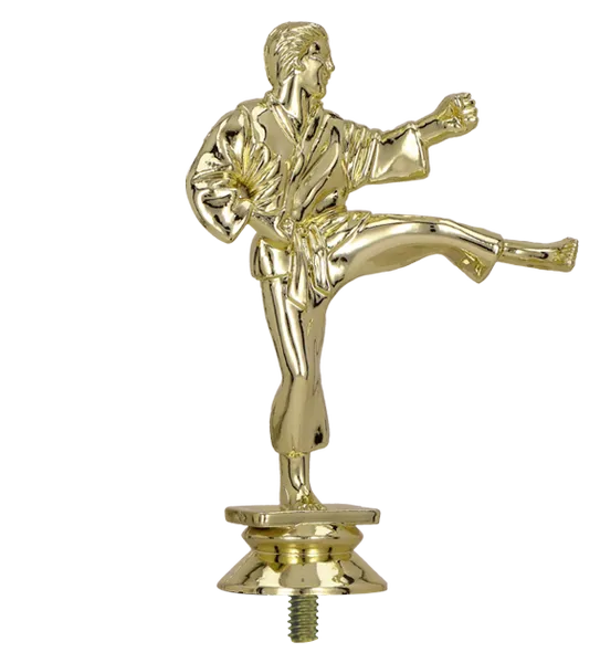 Figurka plastikowa - karate